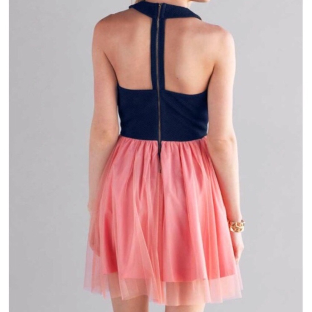 NWT Francesca’s dress